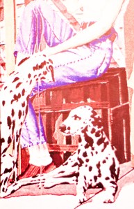 may_reynier_vintage_engagement_Raduban_Photography_Wedding_Photographer_Auckland_New_Zealand