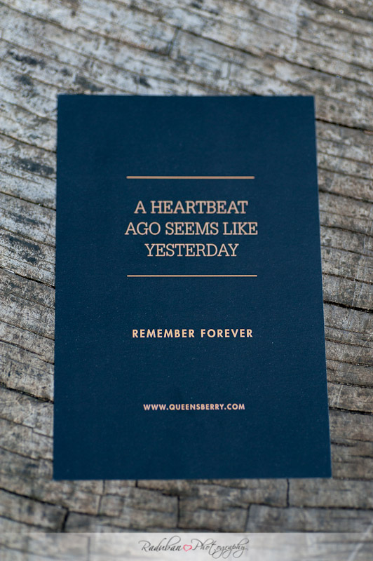 queensberry-album-raduban-photography-wedding-photographer-auckland-new-zealand