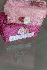 dons_che_wedding_raduban_photography_auckland_new_zealand-0004