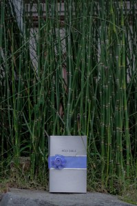 nathan_fro_wedding_raduban_photography_auckland_new_zealand-0003