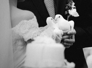 nathan_fro_wedding_raduban_photography_auckland_new_zealand-0047