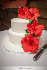 ling-viet-wedding-at-kumeu-valley-estate-vineyard-cottage-matua-winery-by-raduban-photography-wedding-photographer-auckland-new-zealand