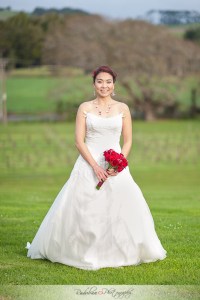ling-viet-wedding-at-kumeu-valley-estate-vineyard-cottage-matua-winery-by-raduban-photography-wedding-photographer-auckland-new-zealand