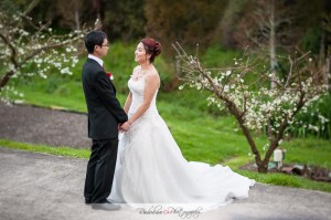 ling-viet-wedding-at-kumeu-valley-estate-vineyard-cottage-matua-winery-by-raduban-photography-wedding-photographer-auckland-new-zealand