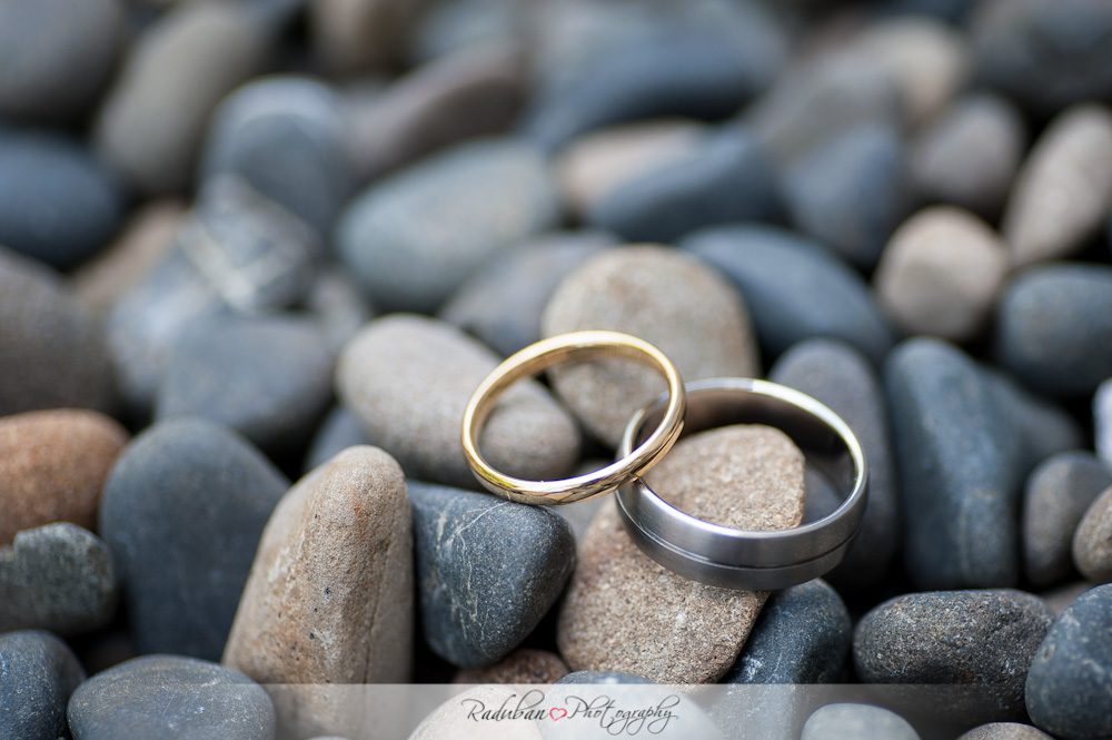 abbeville-estate-wedding-raduban-photography-aucklandabbeville-estate-wedding-raduban-photography-auckland