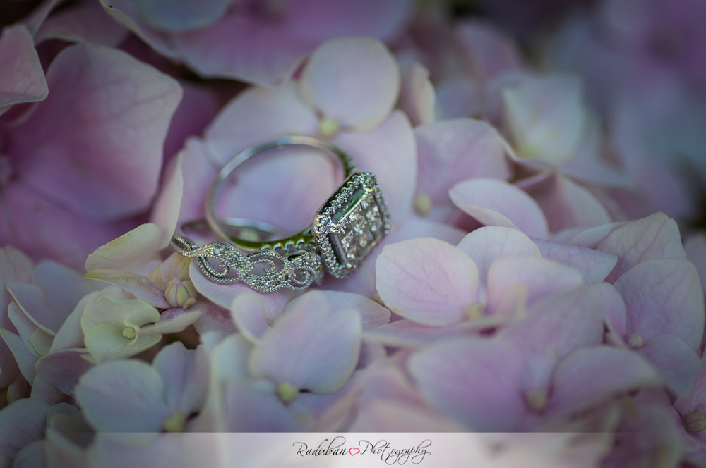 bridget-nathan-brigham-auckland-wedding-photographer-raduban-photography