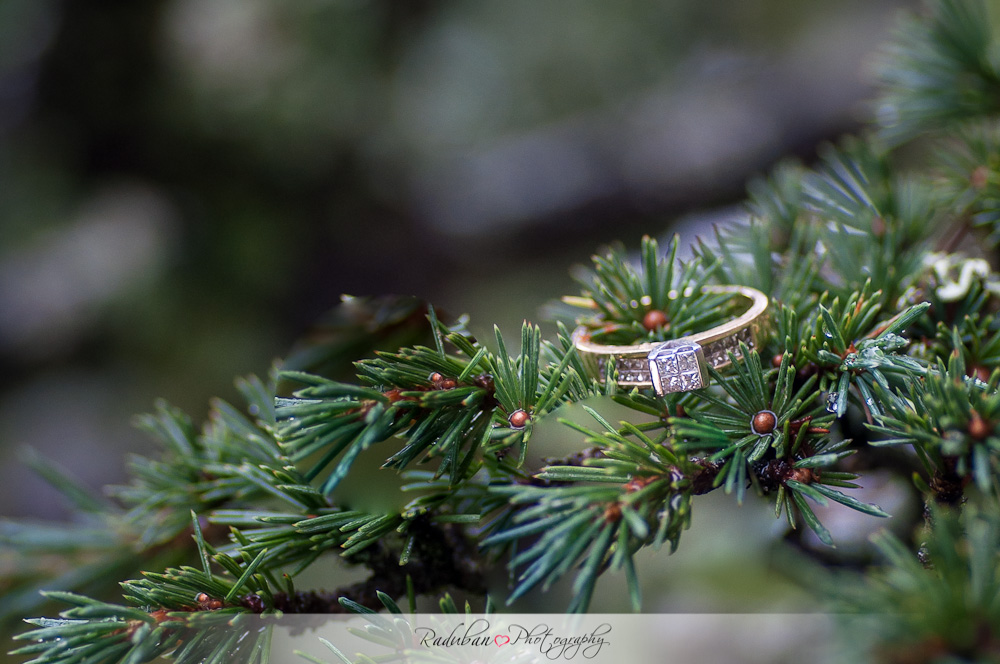 kat-todd-soljans-vineyard-auckland-cheap-candid-wedding-photographer-raduban-photography