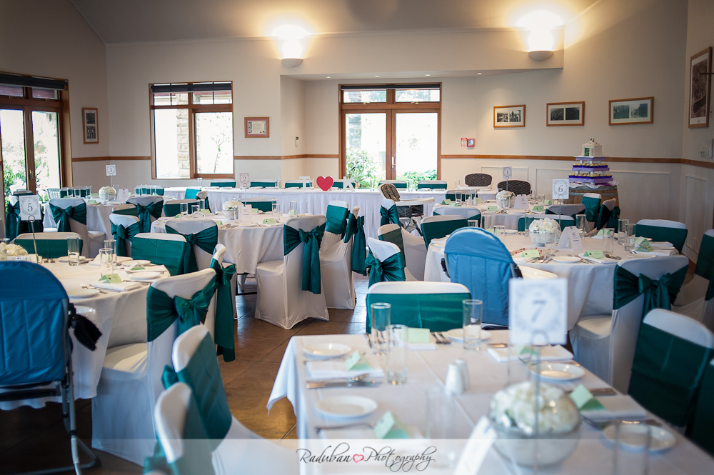 kat-todd-soljans-vineyard-auckland-cheap-candid-wedding-photographer-raduban-photography