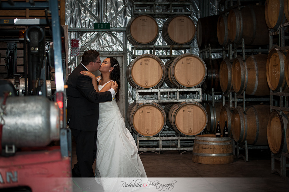 kat-todd-soljans-vineyard-auckland-cheap-candid-wedding-photographer-raduban-photography