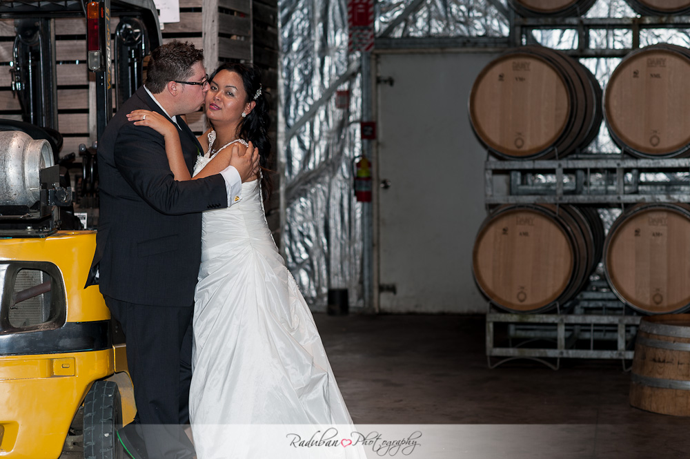 kat-todd-soljans-vineyard-auckland-cheap-candid-wedding-photographer-raduban-photography
