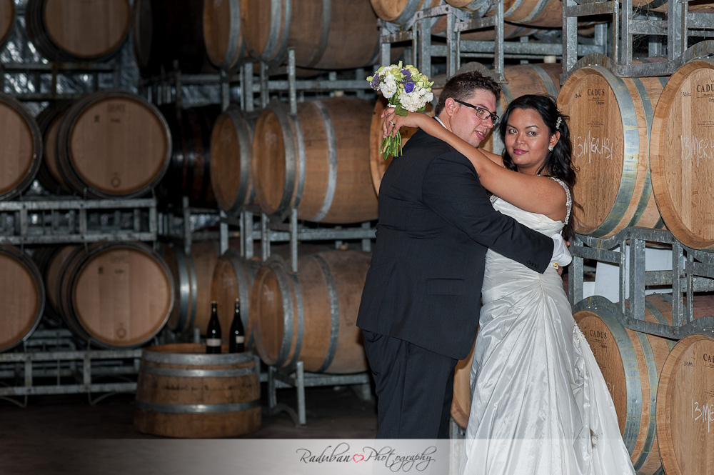 kat-todd-soljans-vineyard-auckland-cheap-candid-wedding-photographer-raduban-photography