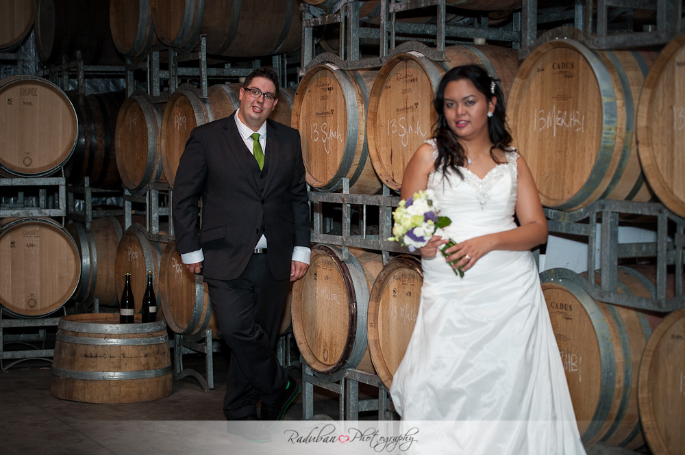 kat-todd-soljans-vineyard-auckland-cheap-candid-wedding-photographer-raduban-photography