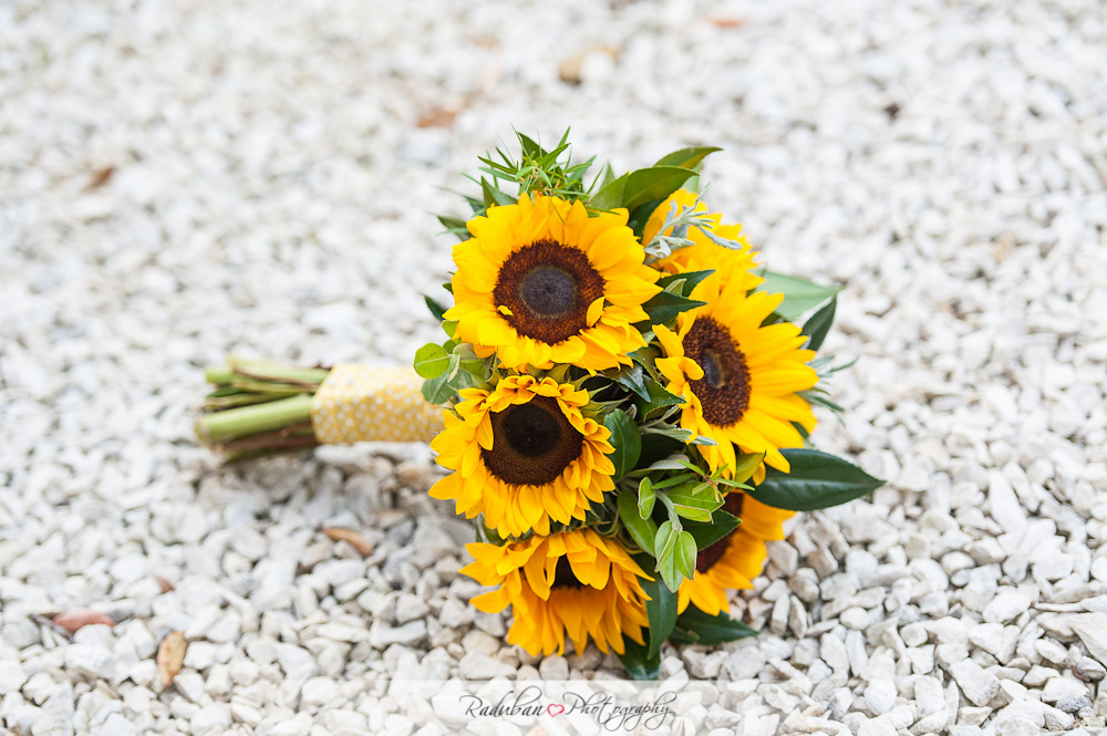 cheap-candid-auckland-wedding-photographer-devonport-beach-raduban-photography