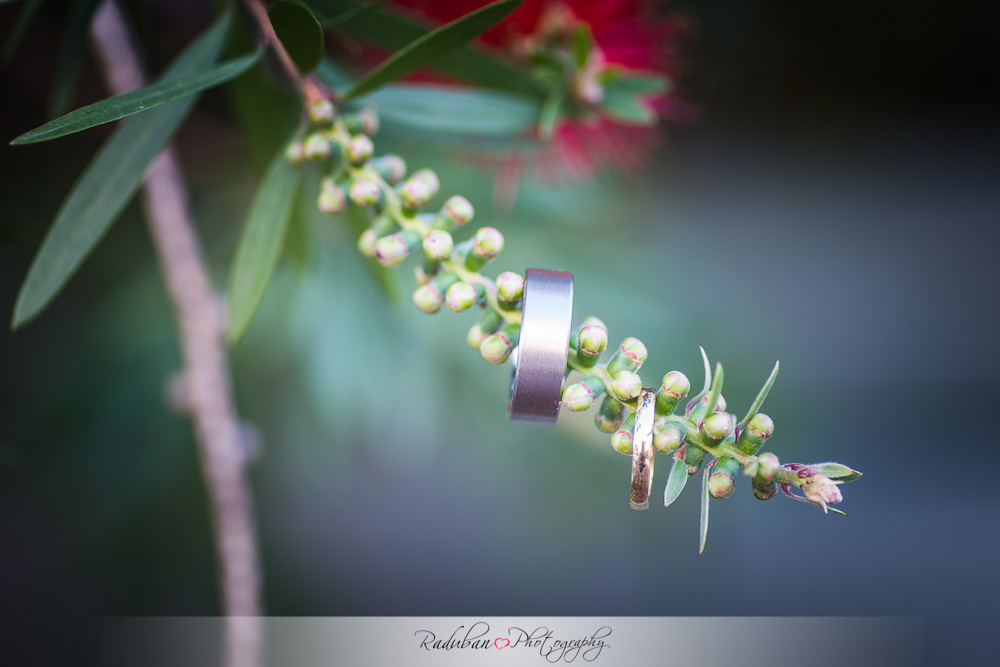 cheap-candid-auckland-wedding-photographer-devonport-beach-raduban-photography