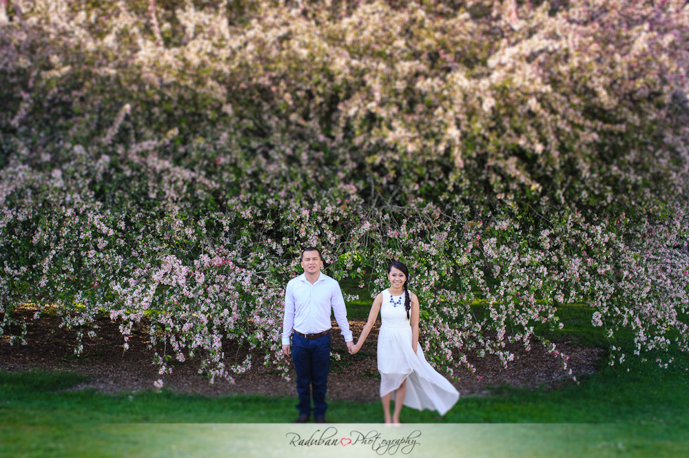 divine-jerome-engagement-auckland-botanic-garden-raduban-photography-candid-wedding-photographer
