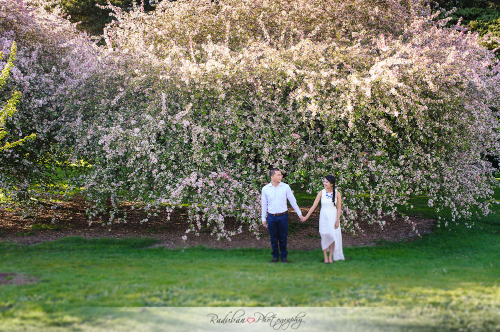 divine-jerome-engagement-auckland-botanic-garden-raduban-photography-candid-wedding-photographer