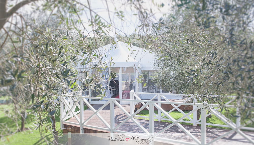 nana-yaa-kwaku-simunovich-olive-estate-auckland-cheap-candid-wedding-photographer-raduban-photography