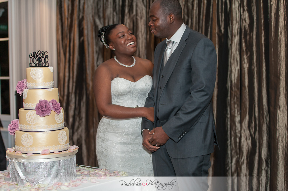 nana-yaa-kwaku-simunovich-olive-estate-auckland-cheap-candid-wedding-photographer-raduban-photography