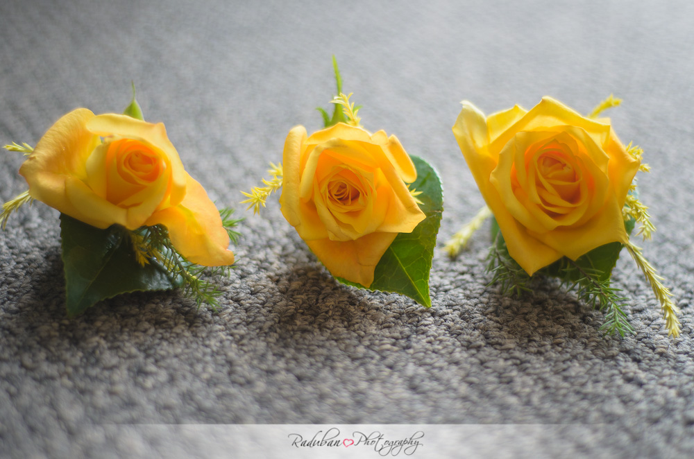 Jemshe-Filipino-wedding-raduban-photography-candid-wedding-photographer-auckland