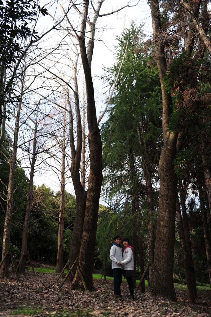 mui and feng japan engagement wedding photographer raduban photography