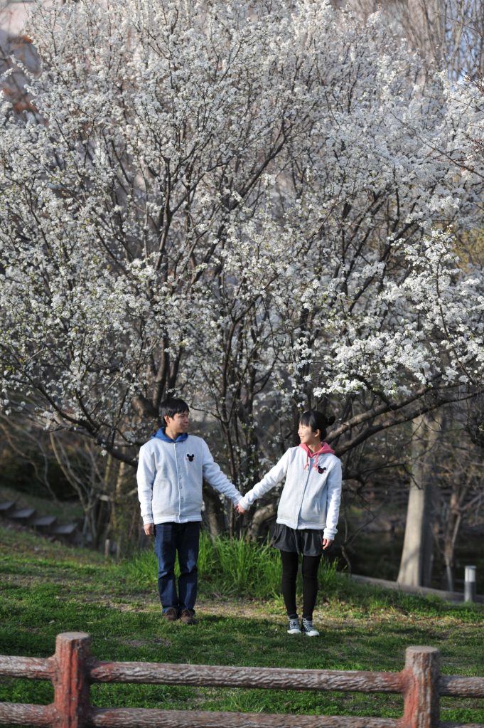 mui and feng japan engagement wedding photographer raduban photography