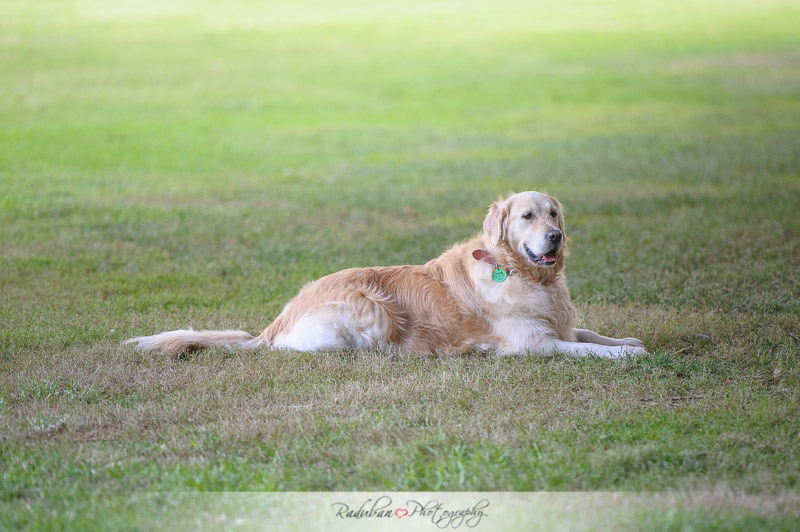 ruby-robert-engagement-raduban-photography-affordable-candid-auckland-wedding-photographer-w-0012